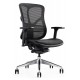 Hood Ergonomic Mesh Office Chair F94 101